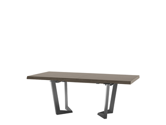 Stół rozkładany ELITE DAY srebrna brzoza 200 - 300 cm 