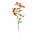 Kwiat sztuczny BOUVARDIA 66 cm
