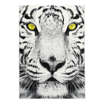 Dywan tygrys TIGER 120x170 cm