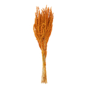 Suszona trawa ozdobna w bukiecie pomarańczowa 62 cm