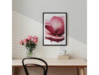 Obraz do salonu FLOWER I 50x70 cm