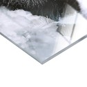 Obraz na szkle GLASSPIK WOLF WOMEN 80x120 cm