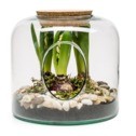 Słoik wazon szklany na las w słoiku EKO 18 cm