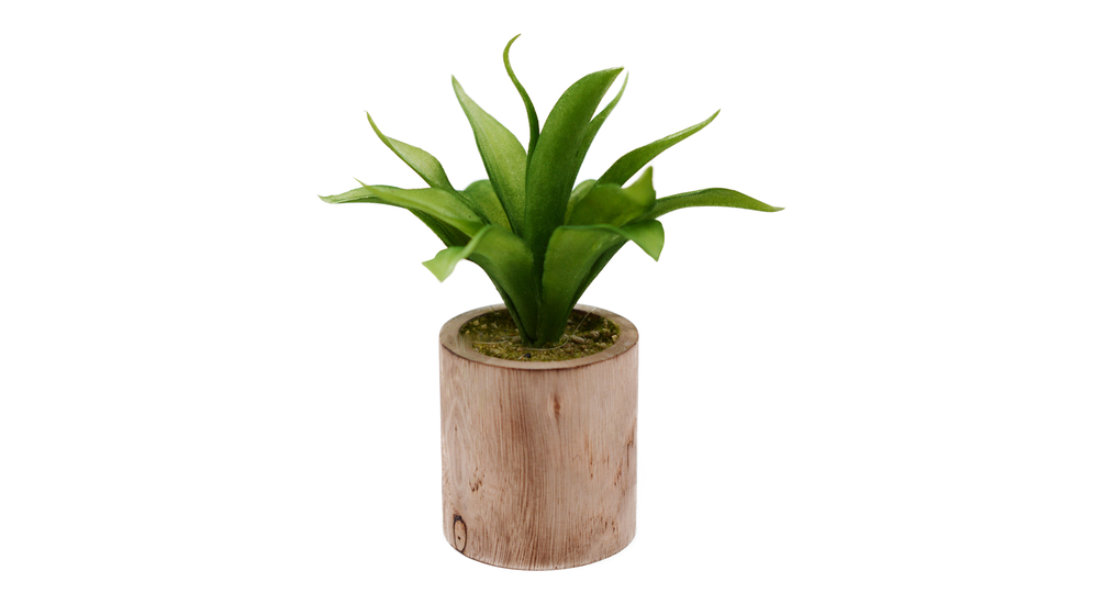 Sztuczna roślina AGAWA w drewnianej doniczce 23,5 cm