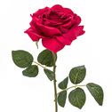 Sztuczny kwiat RÓŻA bordowa 53 cm