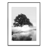 Obraz FOGGY TREE ARTBOX DIGI 50x70 cm