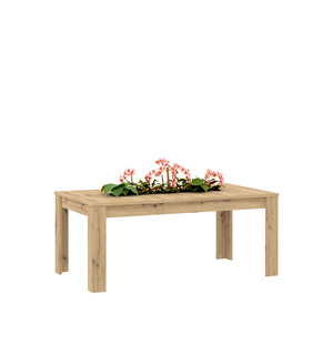 Stół do jadalni z miejscem na kwiaty POLYPODY 180 cm