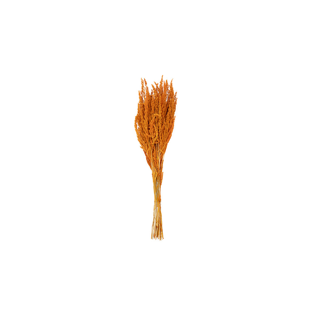 Suszona trawa ozdobna w bukiecie pomarańczowa 62 cm
