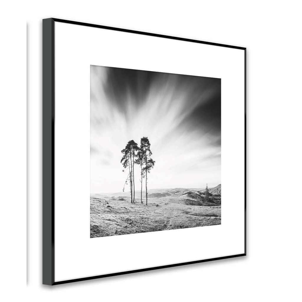 Obraz ARTBOX TREES 50x50 cm